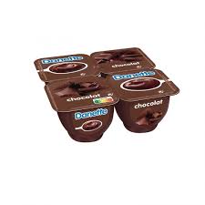 Danette Chocolate 100 g x 4